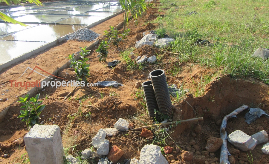 East and West Facing Plots for Sale Before Vidyanikethan College, Tirupati